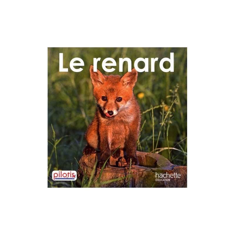 LECTURE CP - COLLECTION PILOTIS - LE RENARD - ALBUM - EDITION 2019